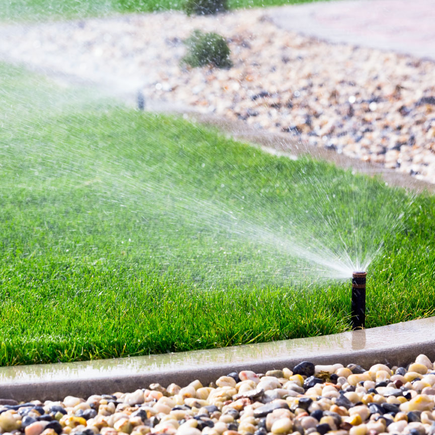 Lawn Maintenance Service
