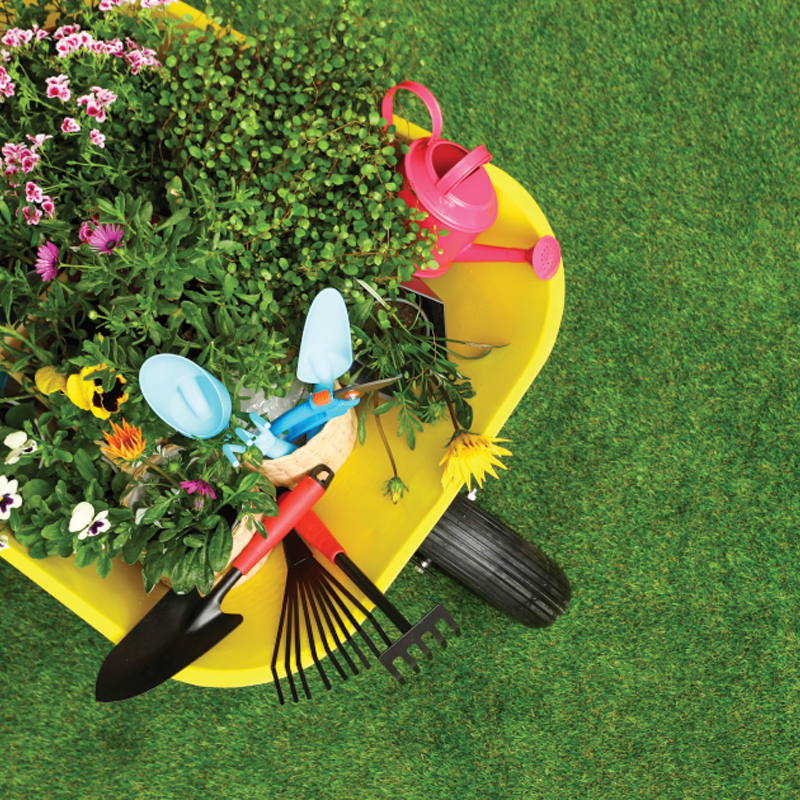 Spring Clean-Up Service